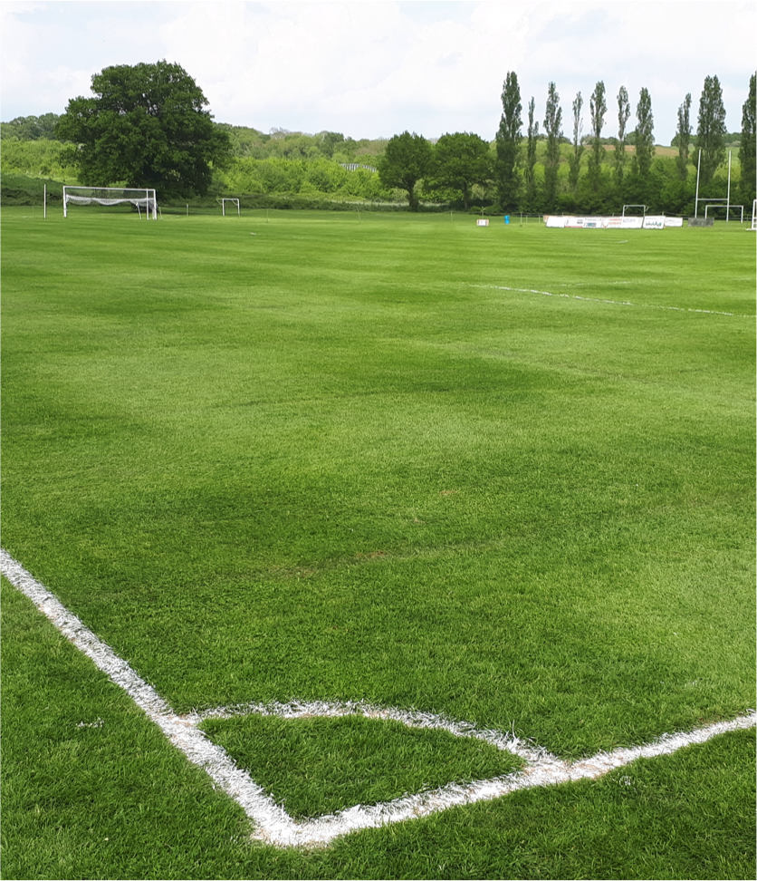 Pitch